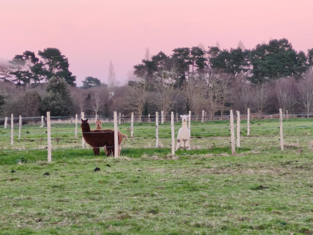 GreenGo Location Bretagne Évasion