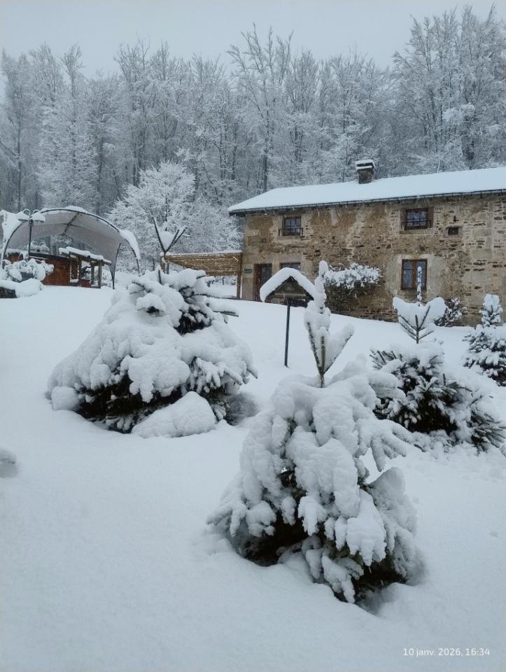 GreenGo location vacances écoresponsables