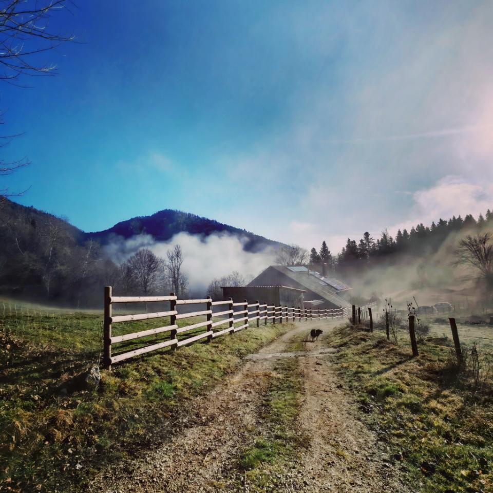 Hôte GreenGo: Gîte de Vautrans au coeur de la nature