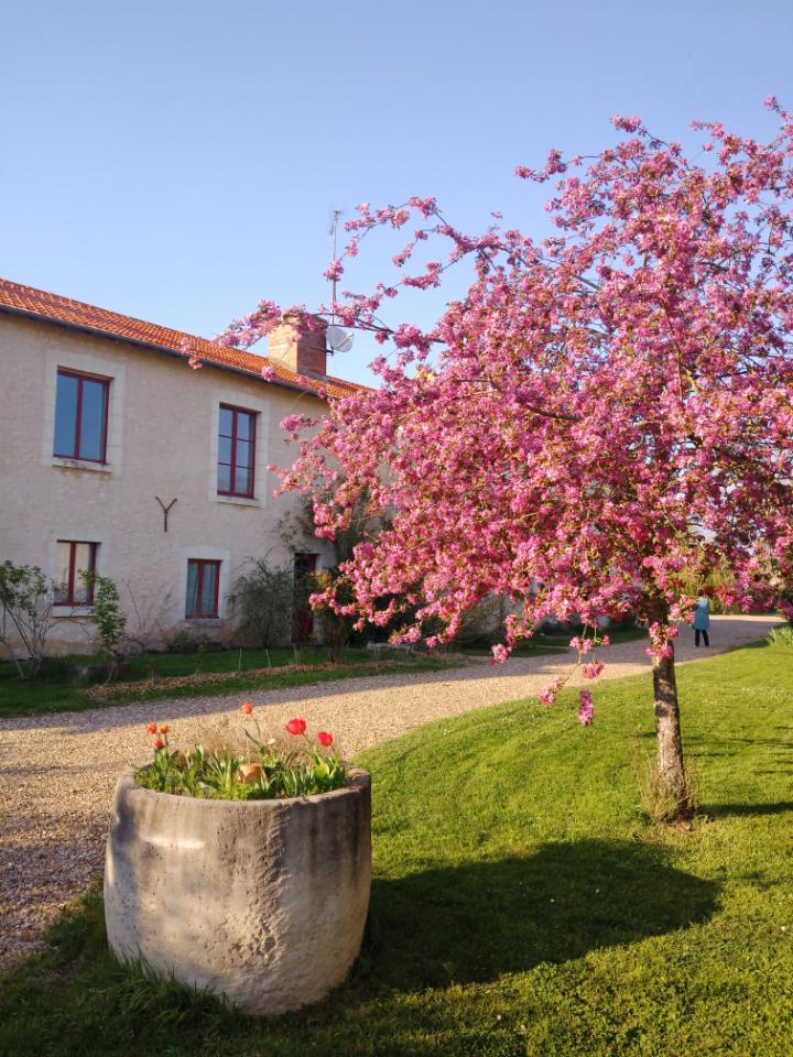 orderedImageAlt_accommodation_default