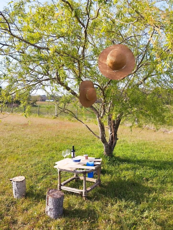 GreenGo location vacances écoresponsables