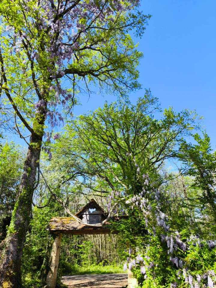 GreenGo location vacances écoresponsables