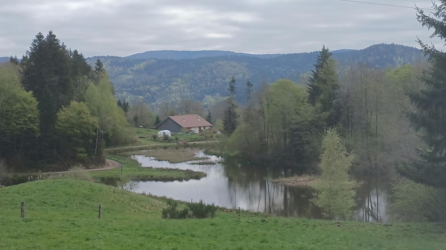 Hôte GreenGo: Chez Dekain