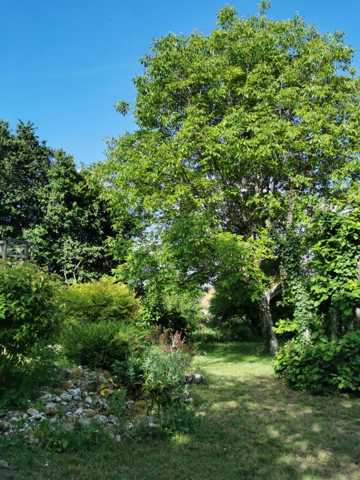 Dordogne À la campagne