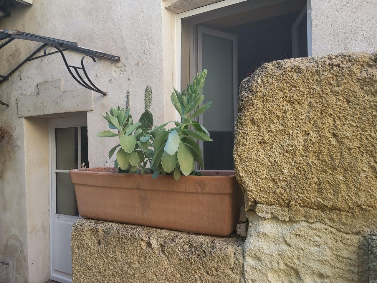 GreenGo Chambre chez l’habitant Occitanie En ville