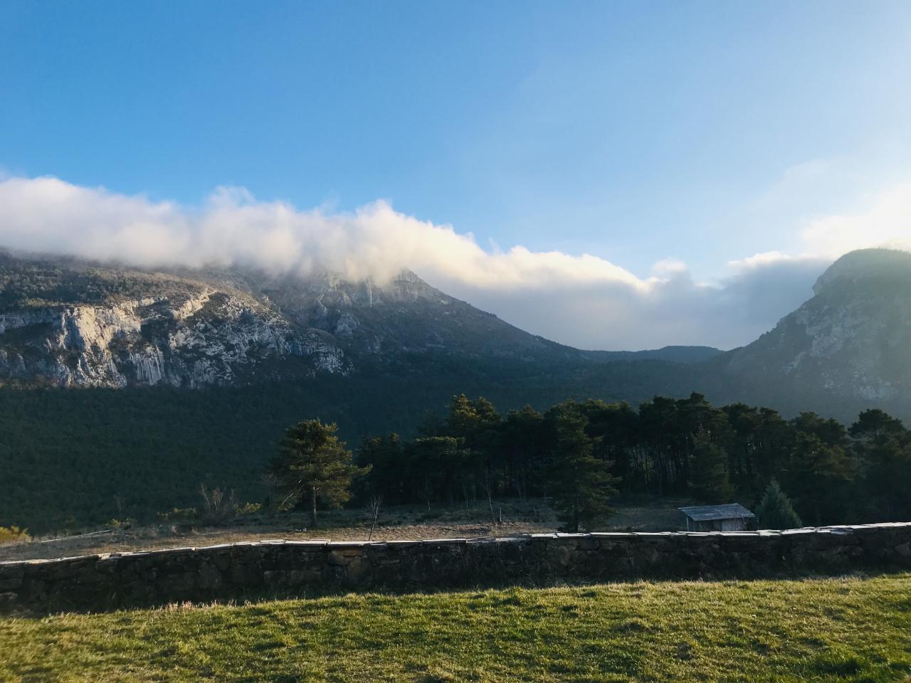 GreenGo location vacances écoresponsables