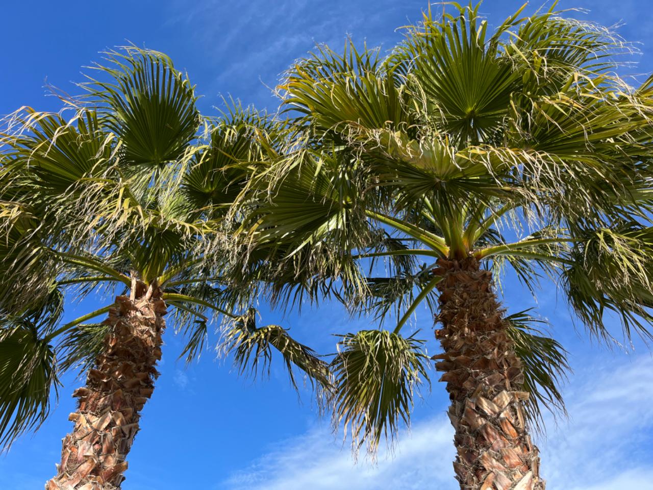 Hôte GreenGo: Location de tourisme Le Garrigou - Image 75