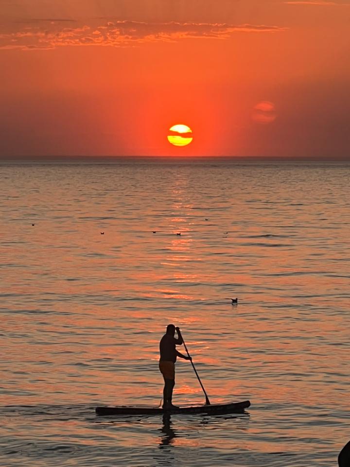 GreenGo Le Greenkub de david