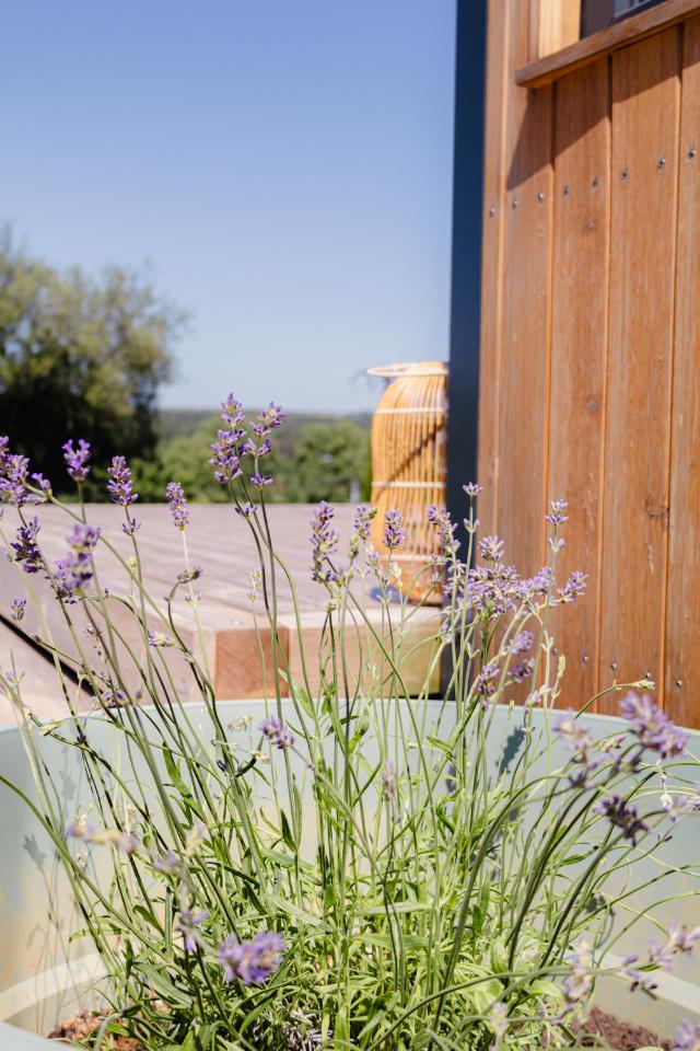 GreenGo location vacances écoresponsables