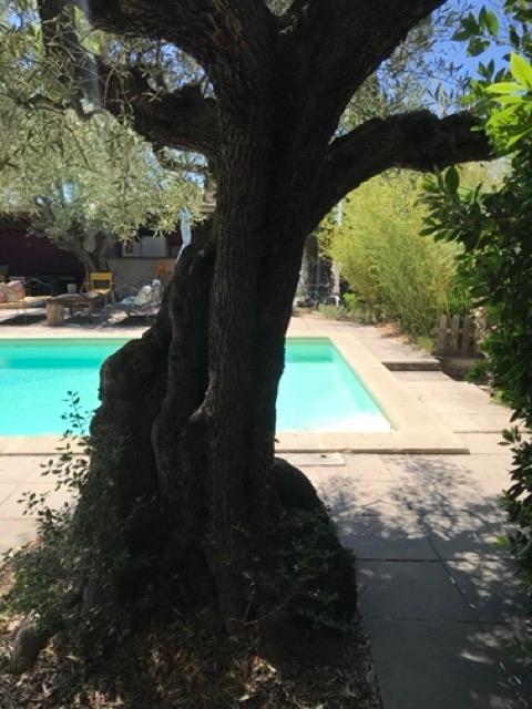 Hôte GreenGo: Villa piscine à 5mn à pieds de la plage - Image 3