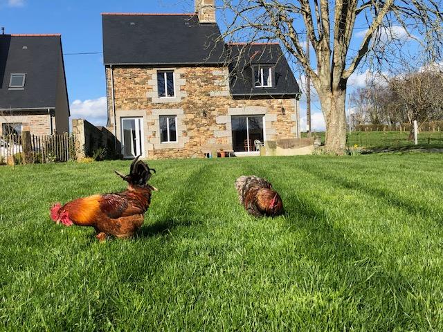 GreenGo Gîte Normandie À la campagne