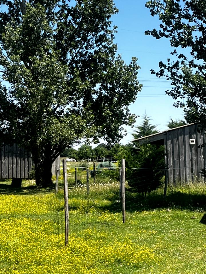 Gîte Equi-libre et les Fleurdeponey