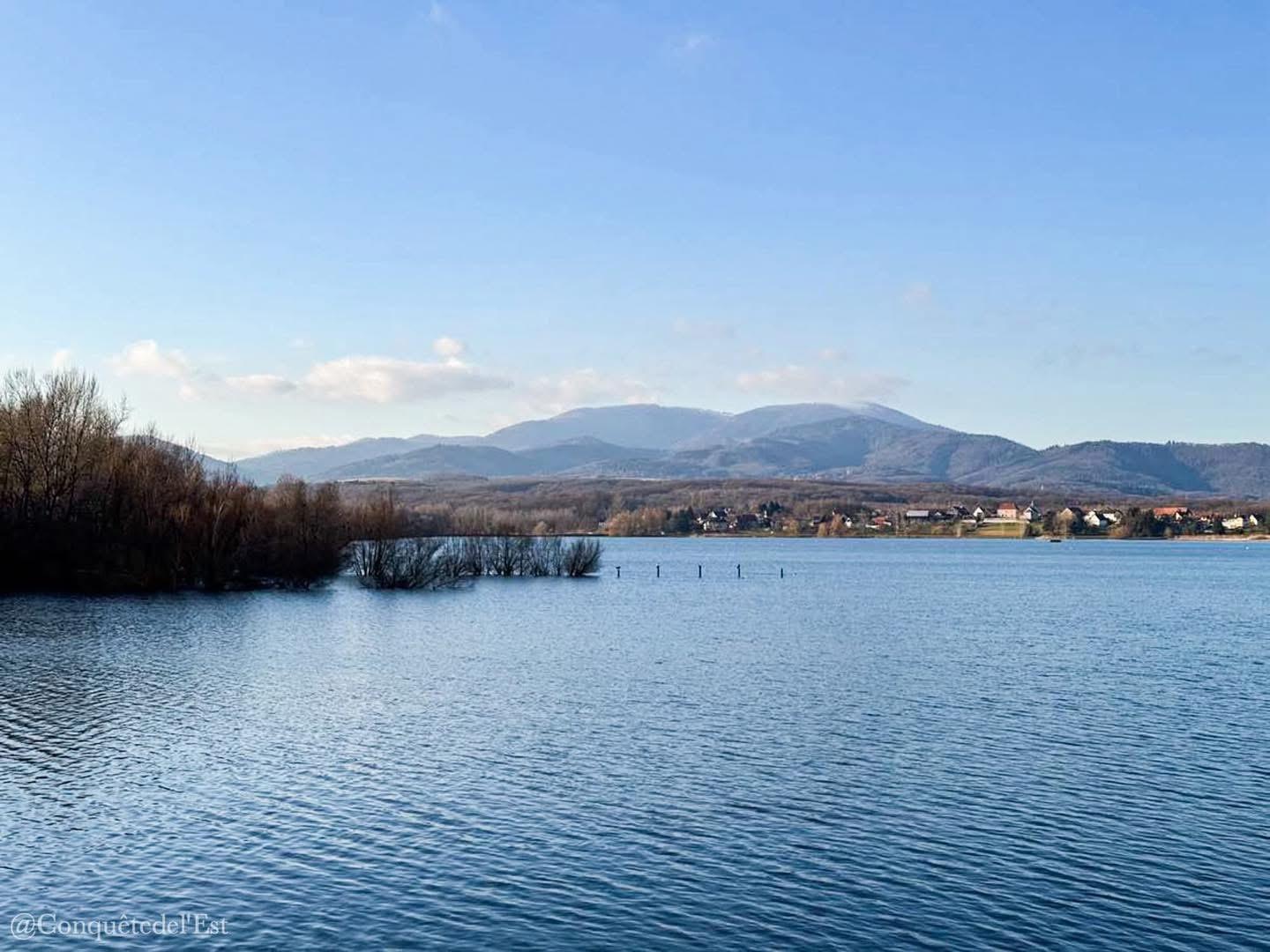 Carte cadeau GreenGo