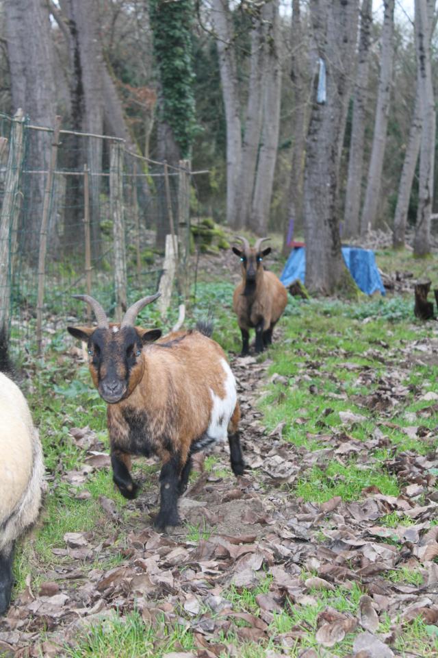 Location Vienne À la campagne