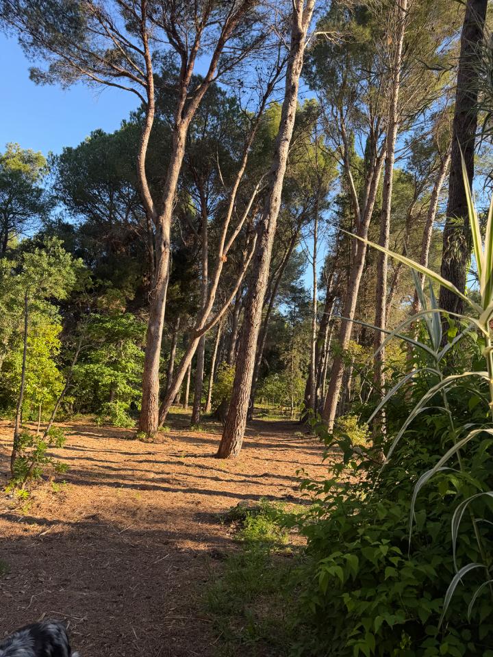 GreenGo location vacances écoresponsables
