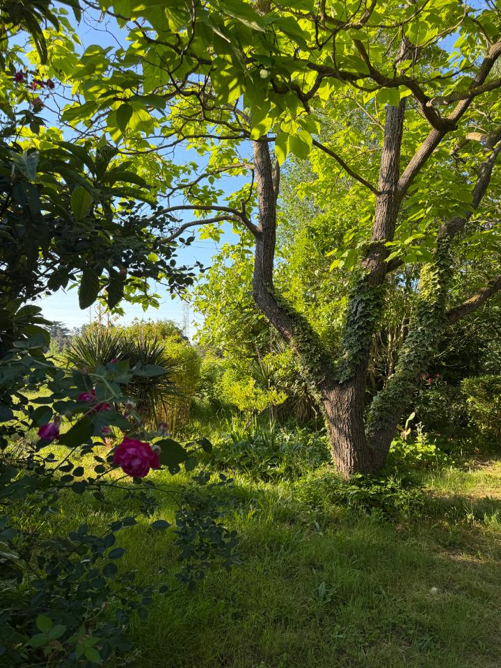 GreenGo Domaine de St Felix Narbonne