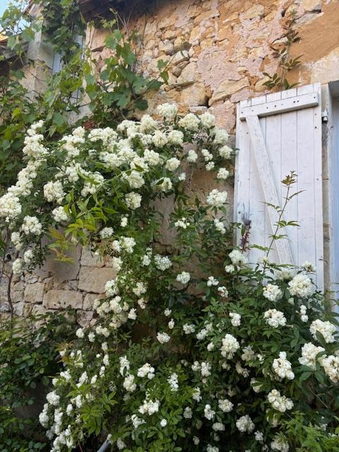 GreenGo location vacances écoresponsables