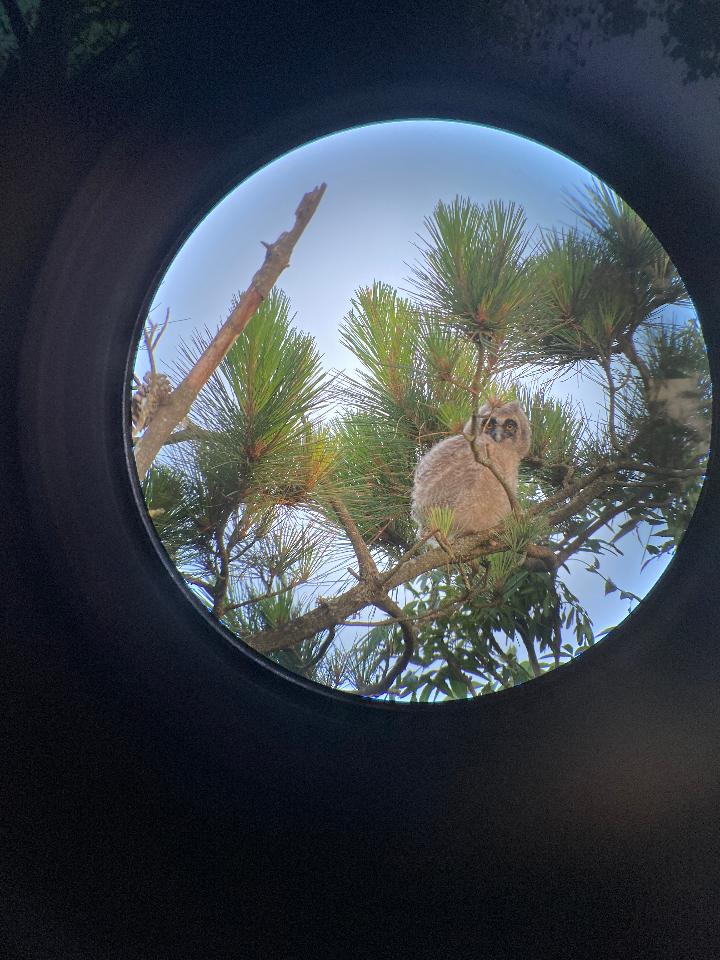 GreenGo Gîte Pays de la Loire À la campagne