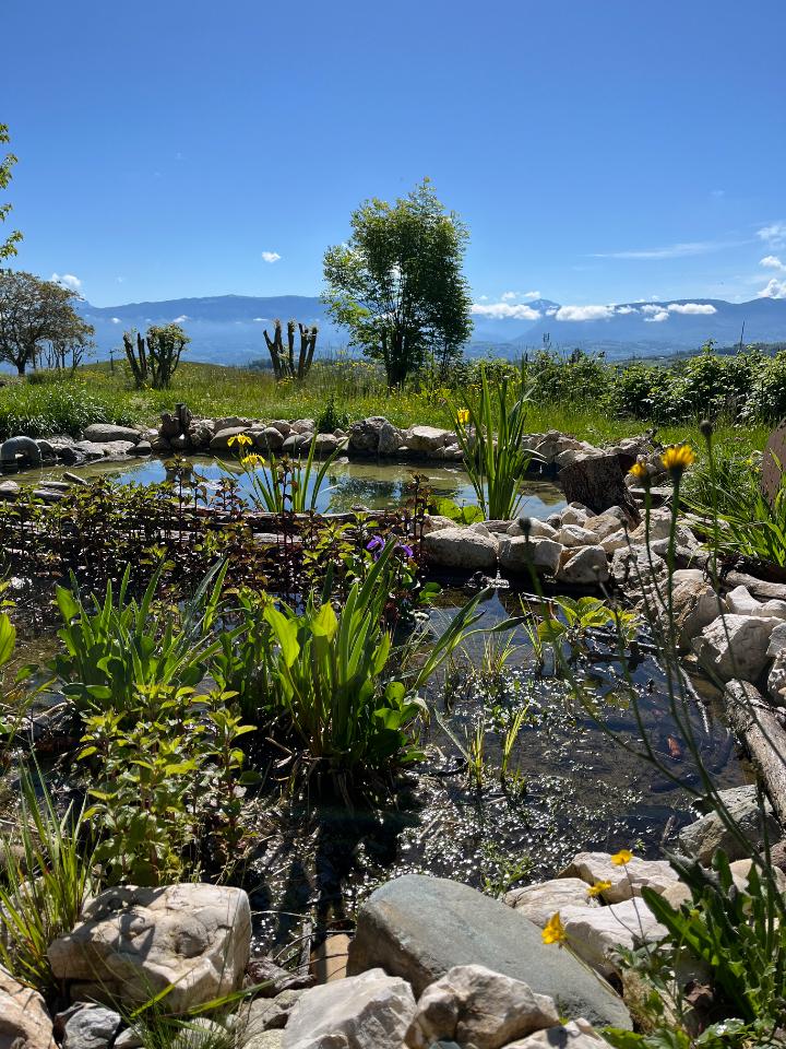 Logement GreenGo: Appartement au coeur de la nature