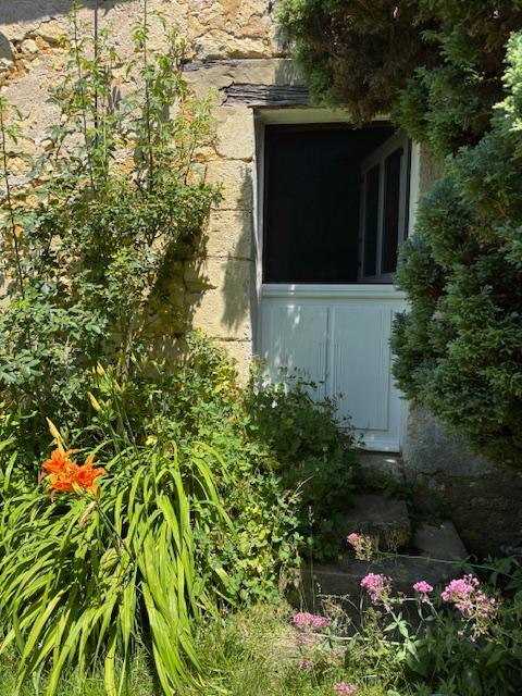 Carte cadeau GreenGo