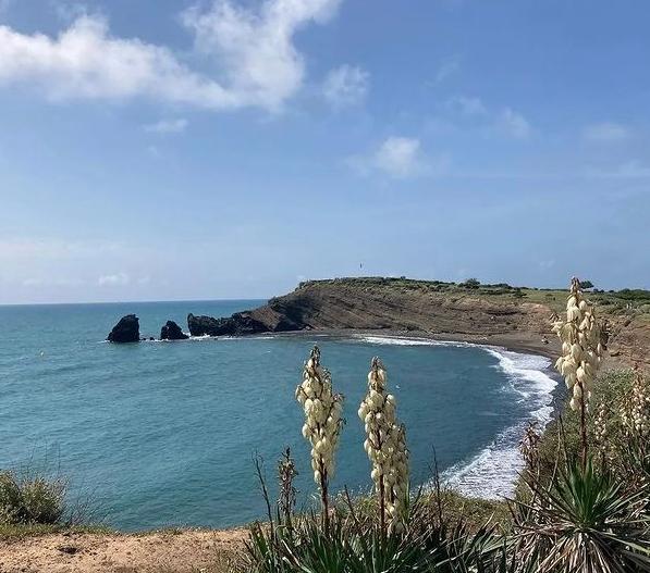 Hôte GreenGo: Location de tourisme Le Garrigou - Image 58