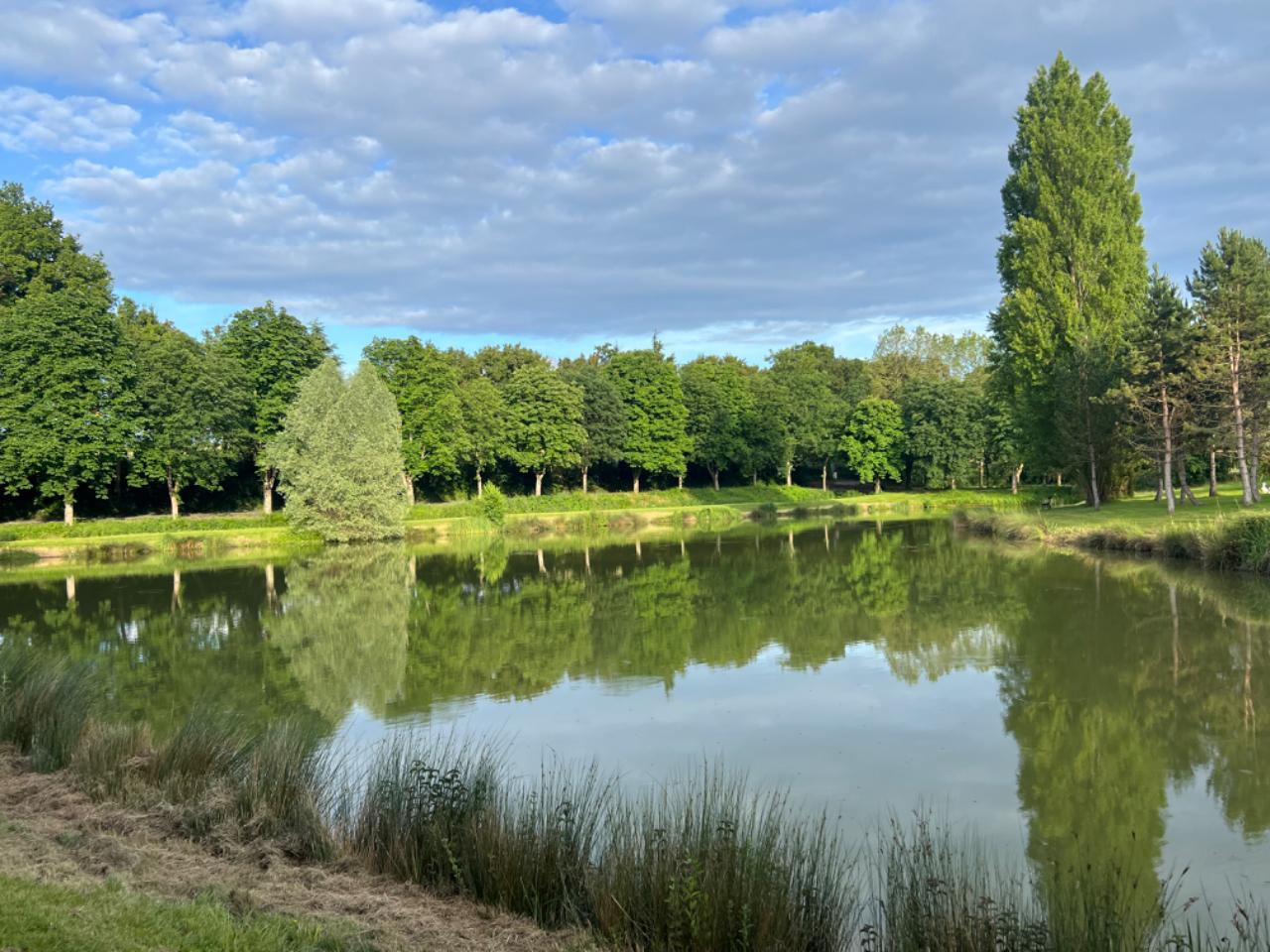 Hôte GreenGo: LE REFUGE