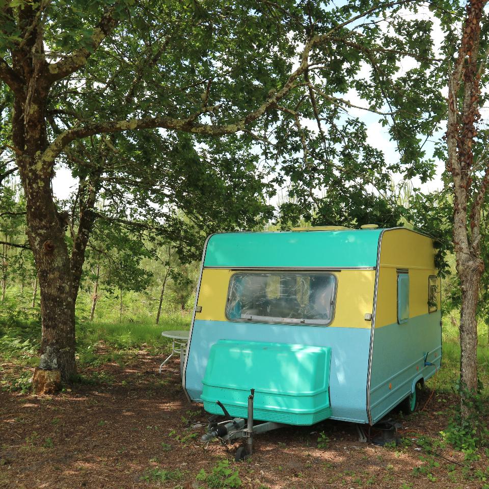 Hôte GreenGo: Cosy caravane dans Les Landes - Image 3