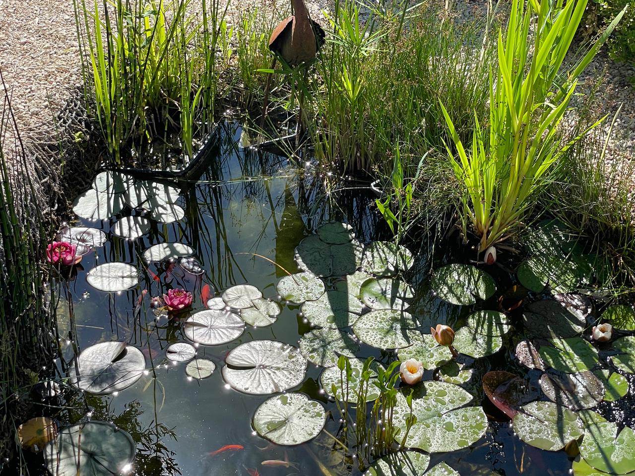  Bouches-du-Rhône À la campagne