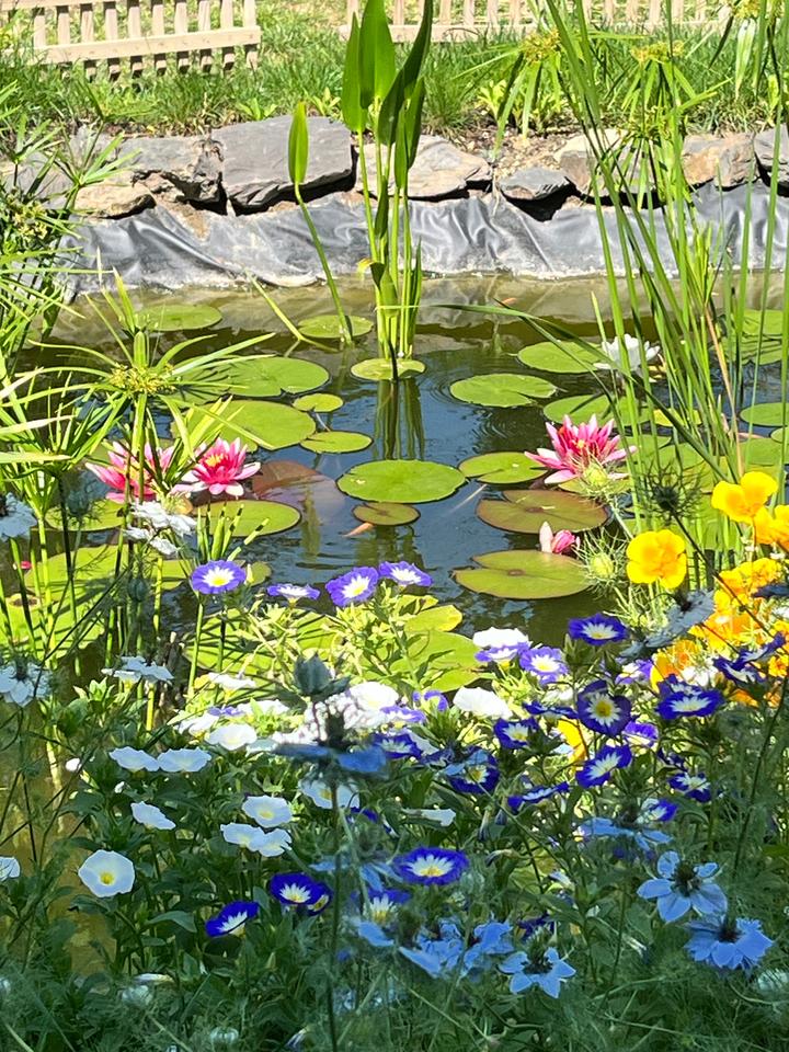  Hérault À la campagne