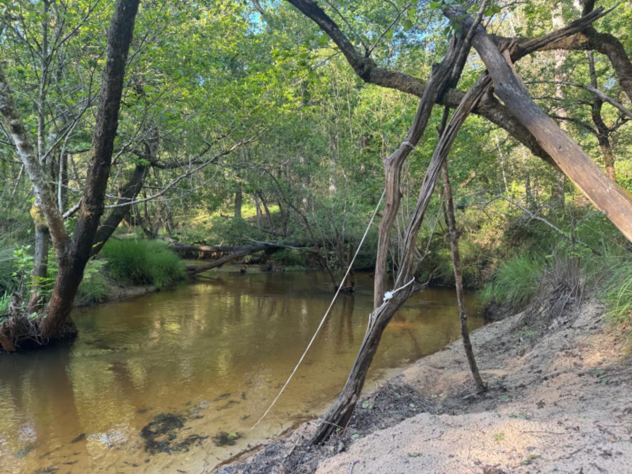 Écovillage Landes En forêt