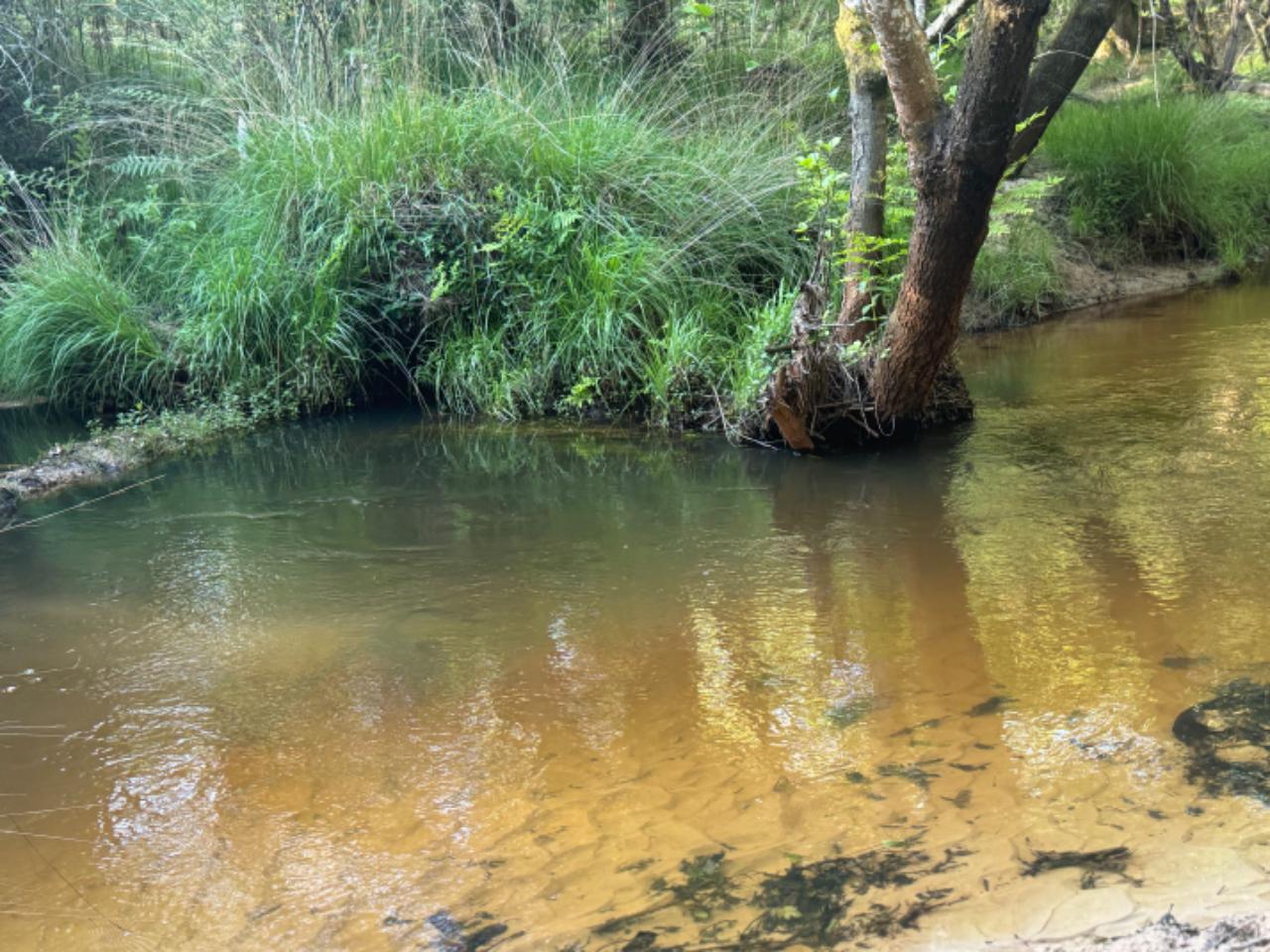 Logement insolite Landes Musique