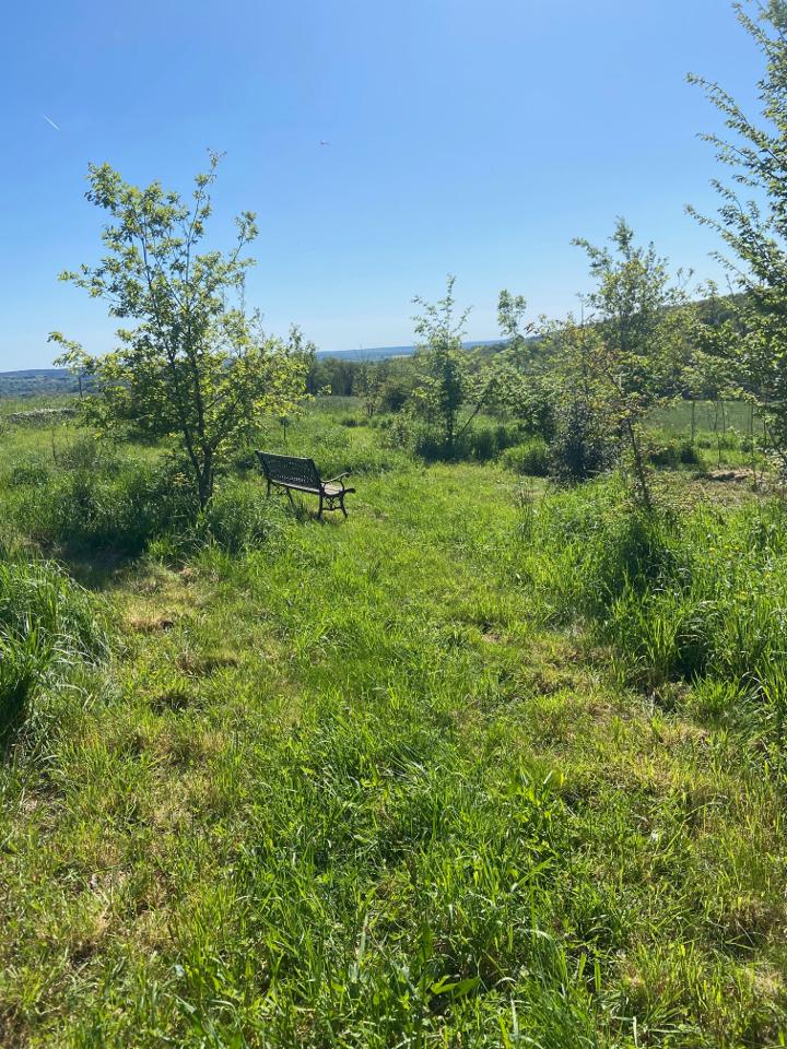 Hôte GreenGo: La Colline aux Licornes - Image 24