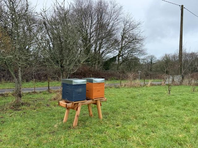 GreenGo Gîte Bretagne Musique