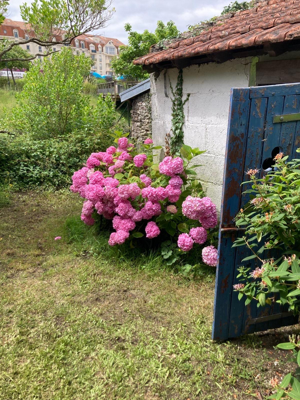 GreenGo Location Pays de la Loire Bien-être