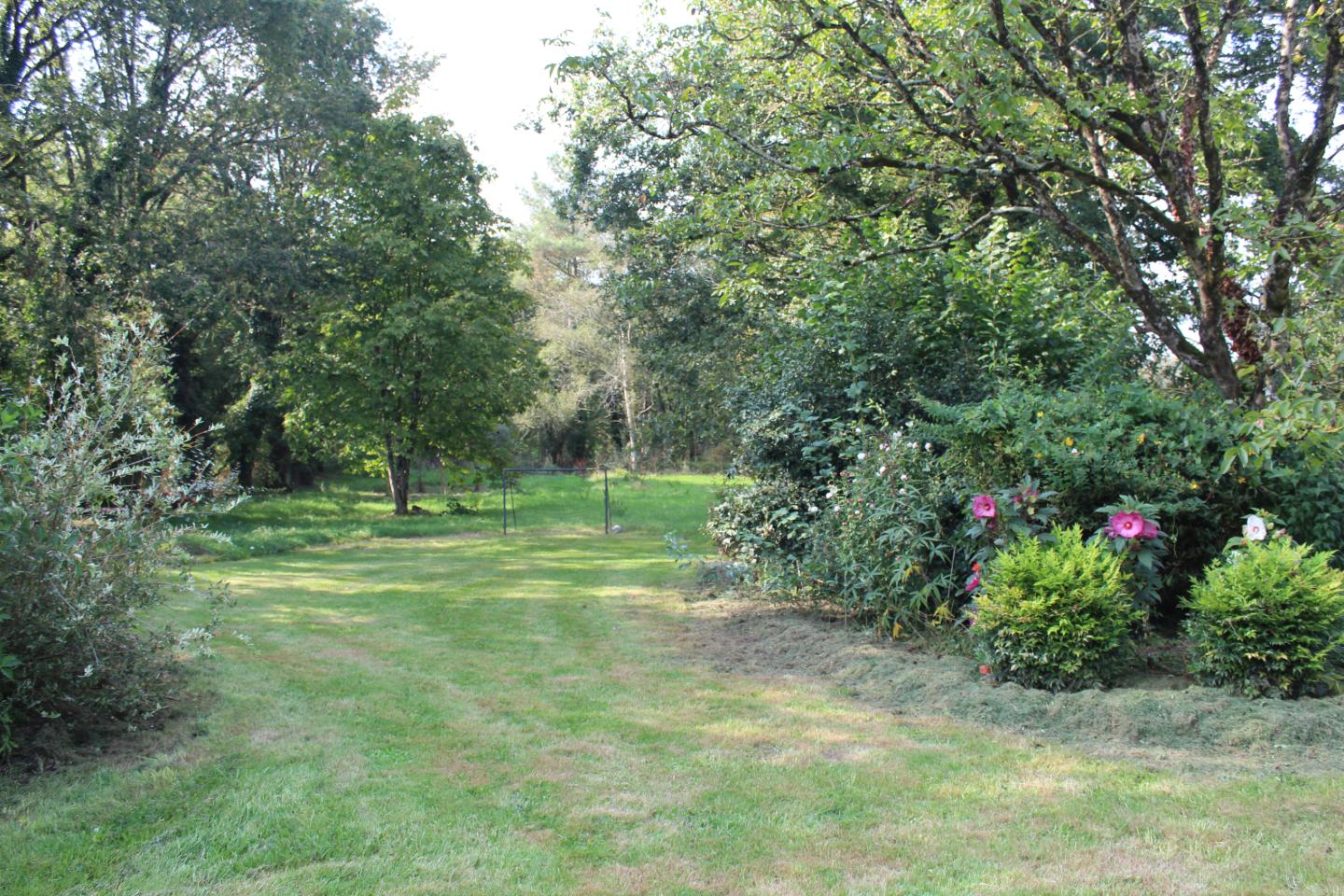 Location Ille-et-Vilaine En forêt