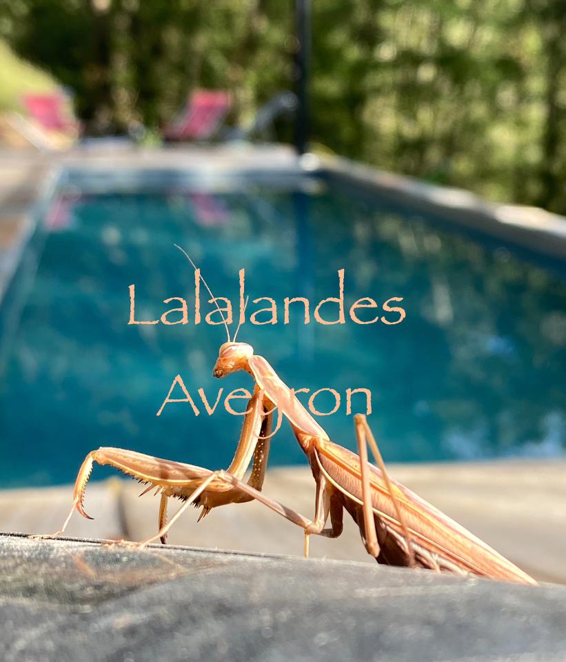Hôte GreenGo: Lalalandes Aveyron - Image 4