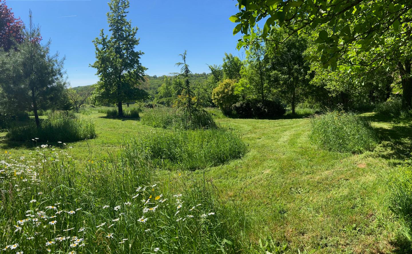 Hôte GreenGo: La Colline aux Licornes - Image 21