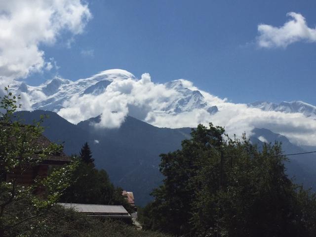 Logement GreenGo: Chalet 10 personnes face Mont Blanc avec bain nordique - Image 5