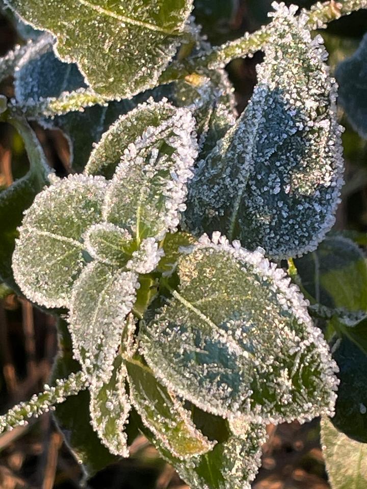 Carte cadeau GreenGo