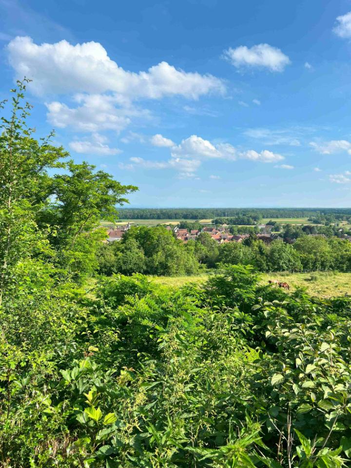 GreenGo location vacances écoresponsables