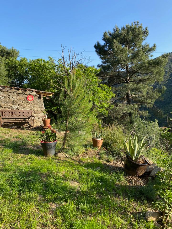 Hôte GreenGo: La Roulot’Thines : Roulotte en pleine nature dans le sud de l Ardèche, avec piscine .Spa en option . - Image 14