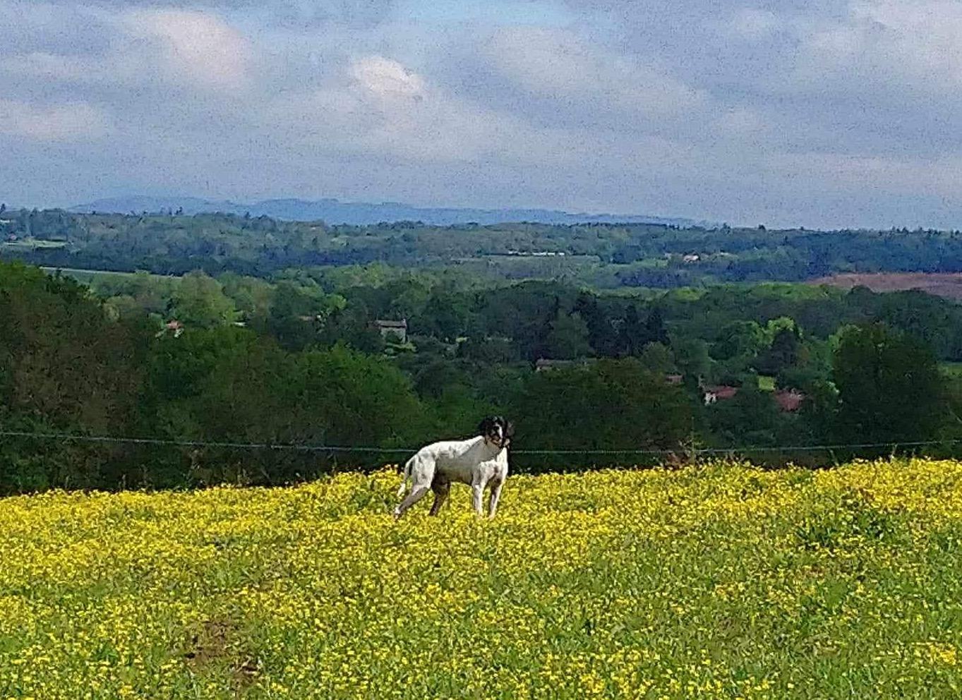 GreenGo Location Nouvelle-Aquitaine En ville