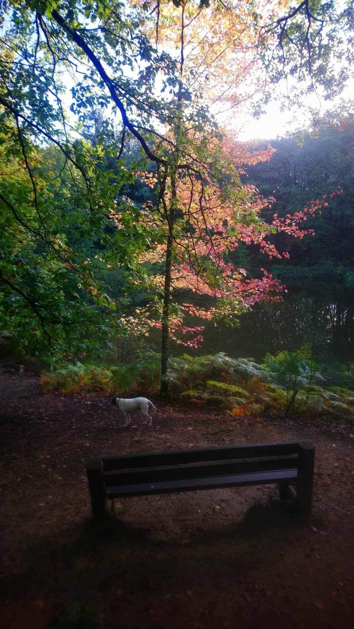 GreenGo Maison sereilhacoise