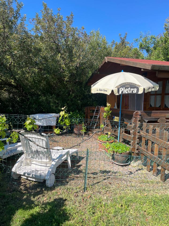 Carte cadeau GreenGo