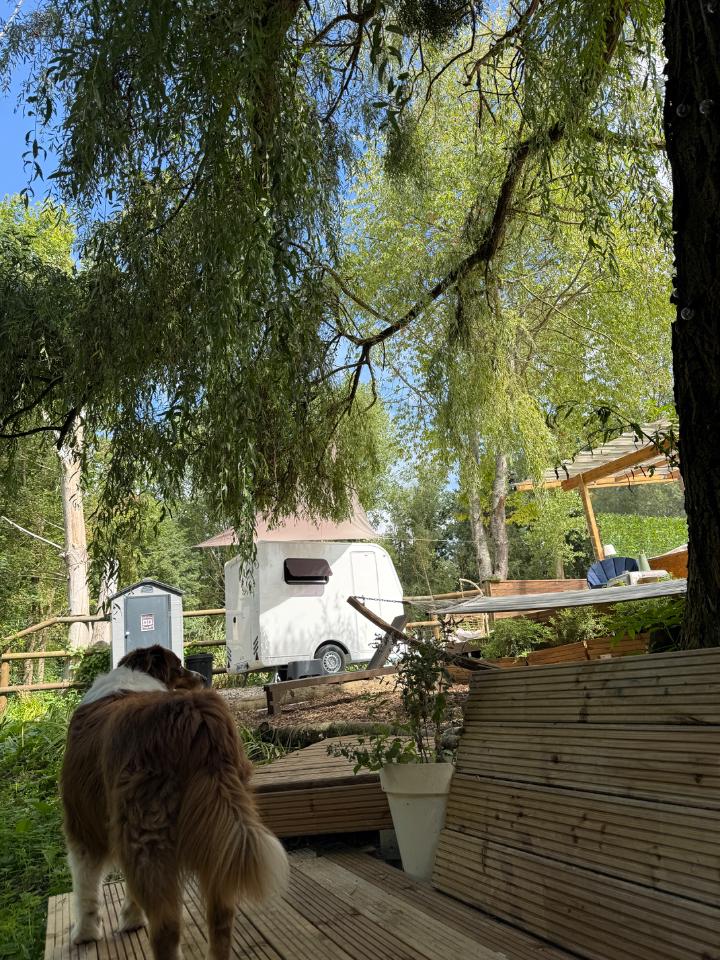 orderedImageAlt_accommodation_default