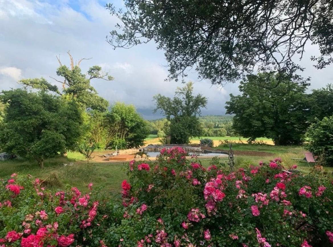 orderedImageAlt_accommodation_default