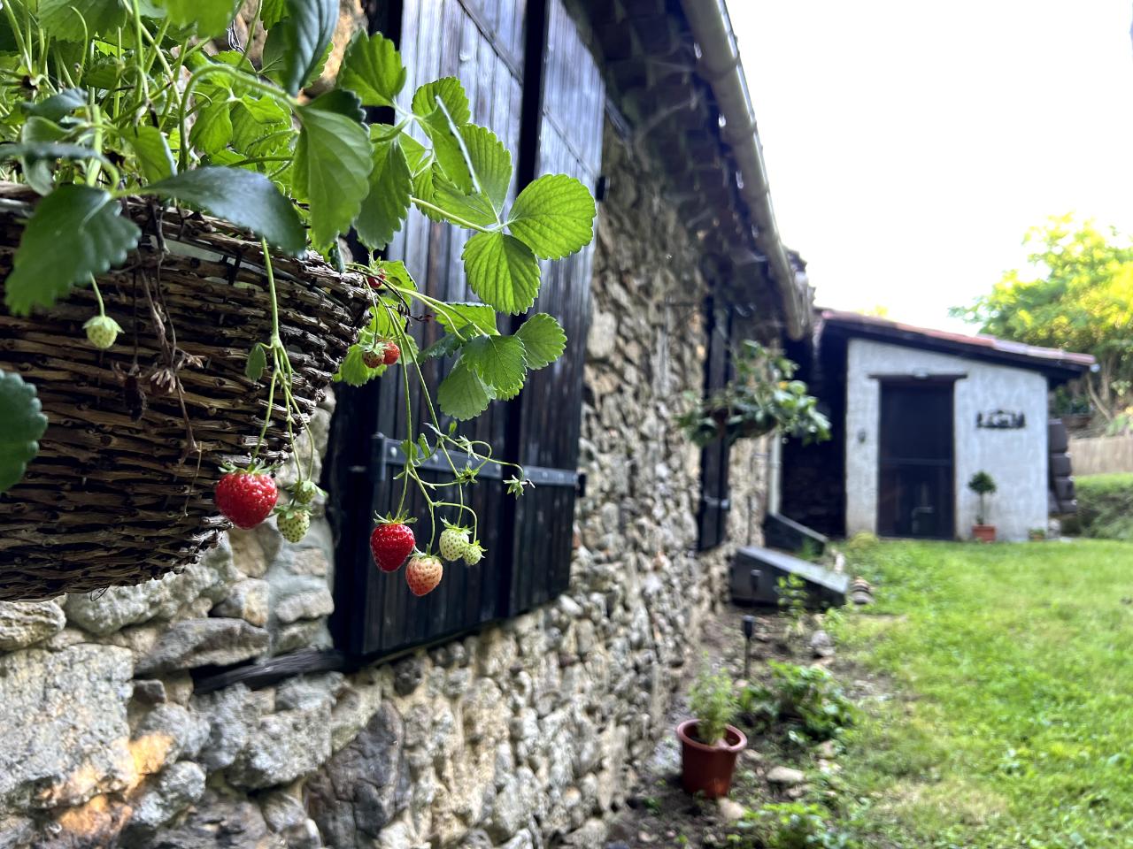 GreenGo location vacances écoresponsables