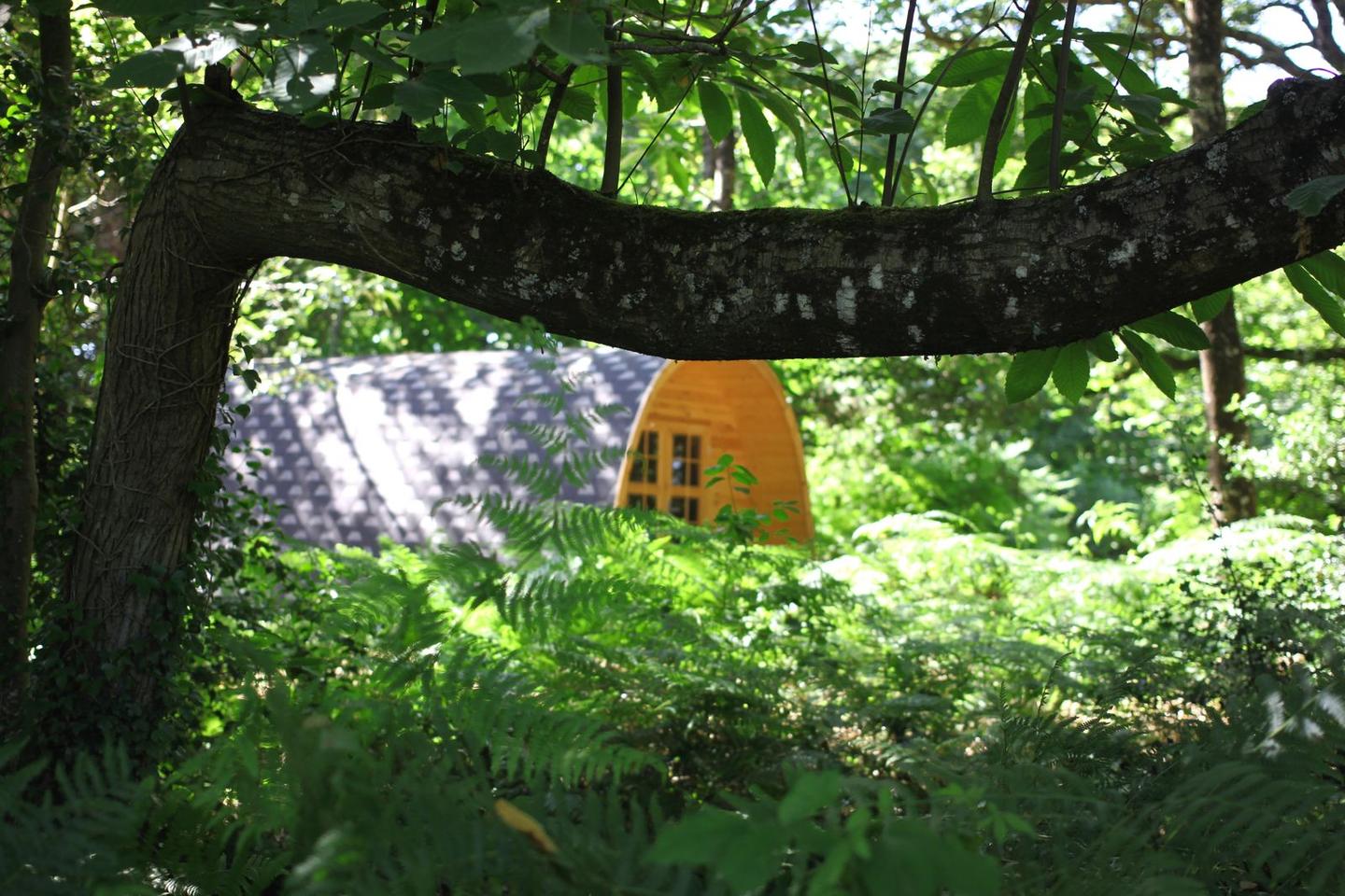 Hôte GreenGo: Camping à la ferme du moulin de Belle Née - Image 12