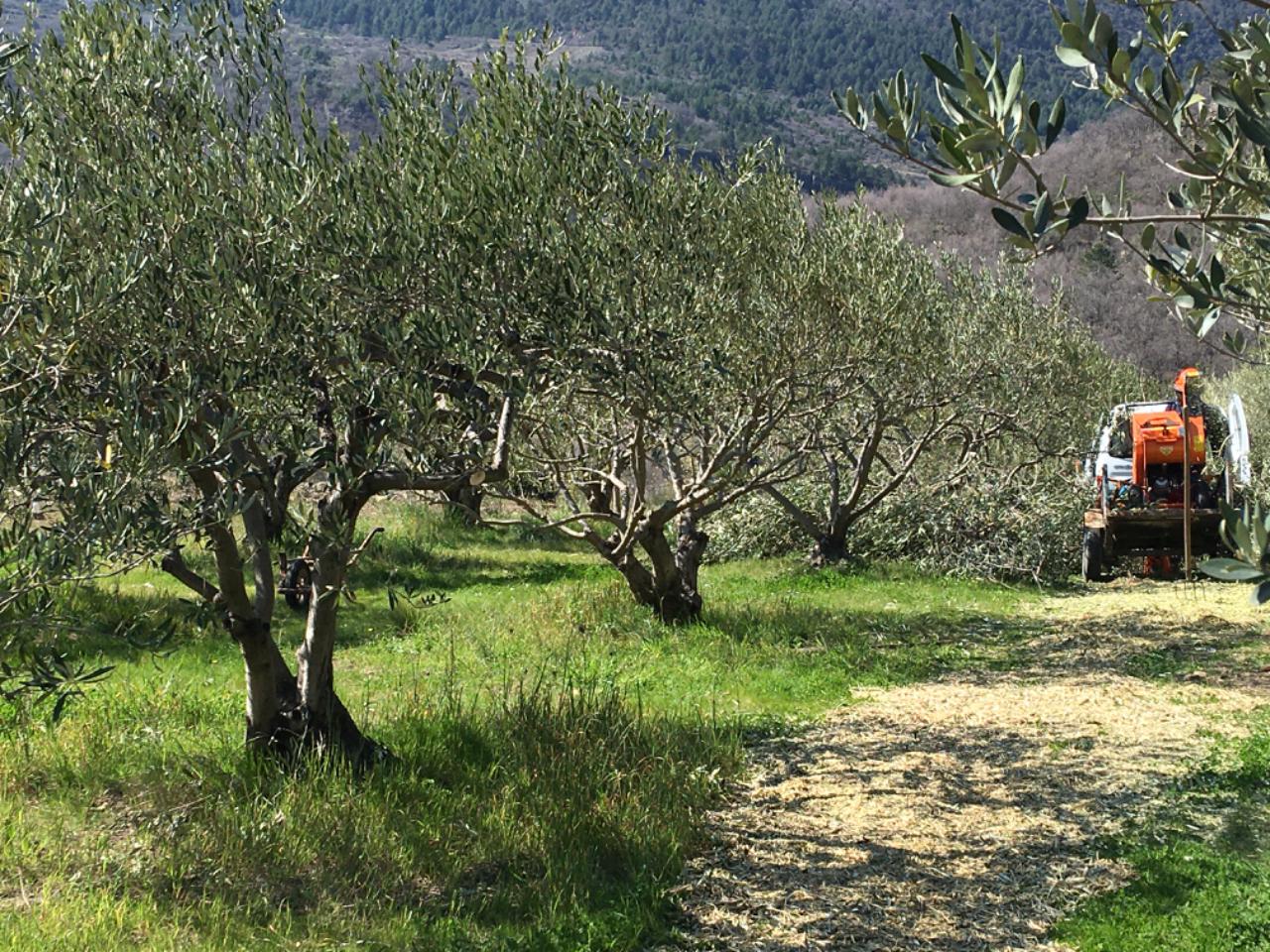 Hôte GreenGo: Gîte en Lodevois Larzac - Image 4