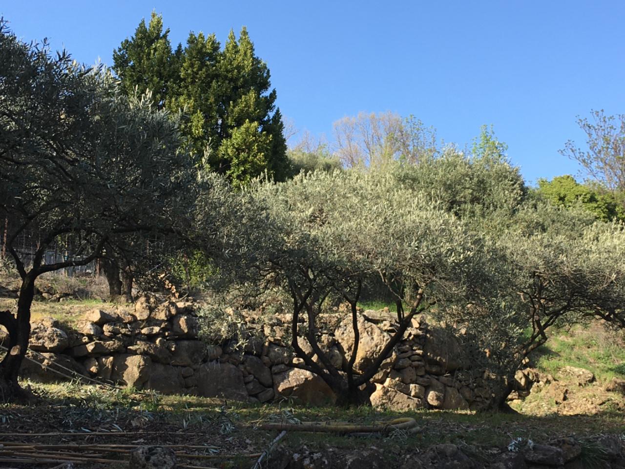 Hôte GreenGo: Gîte en Lodevois Larzac - Image 3